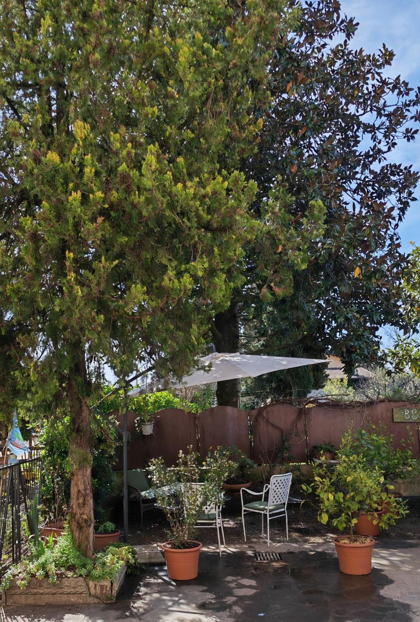 B&B Lamagia Di Corte Moronati Сирмионе Экстерьер фото